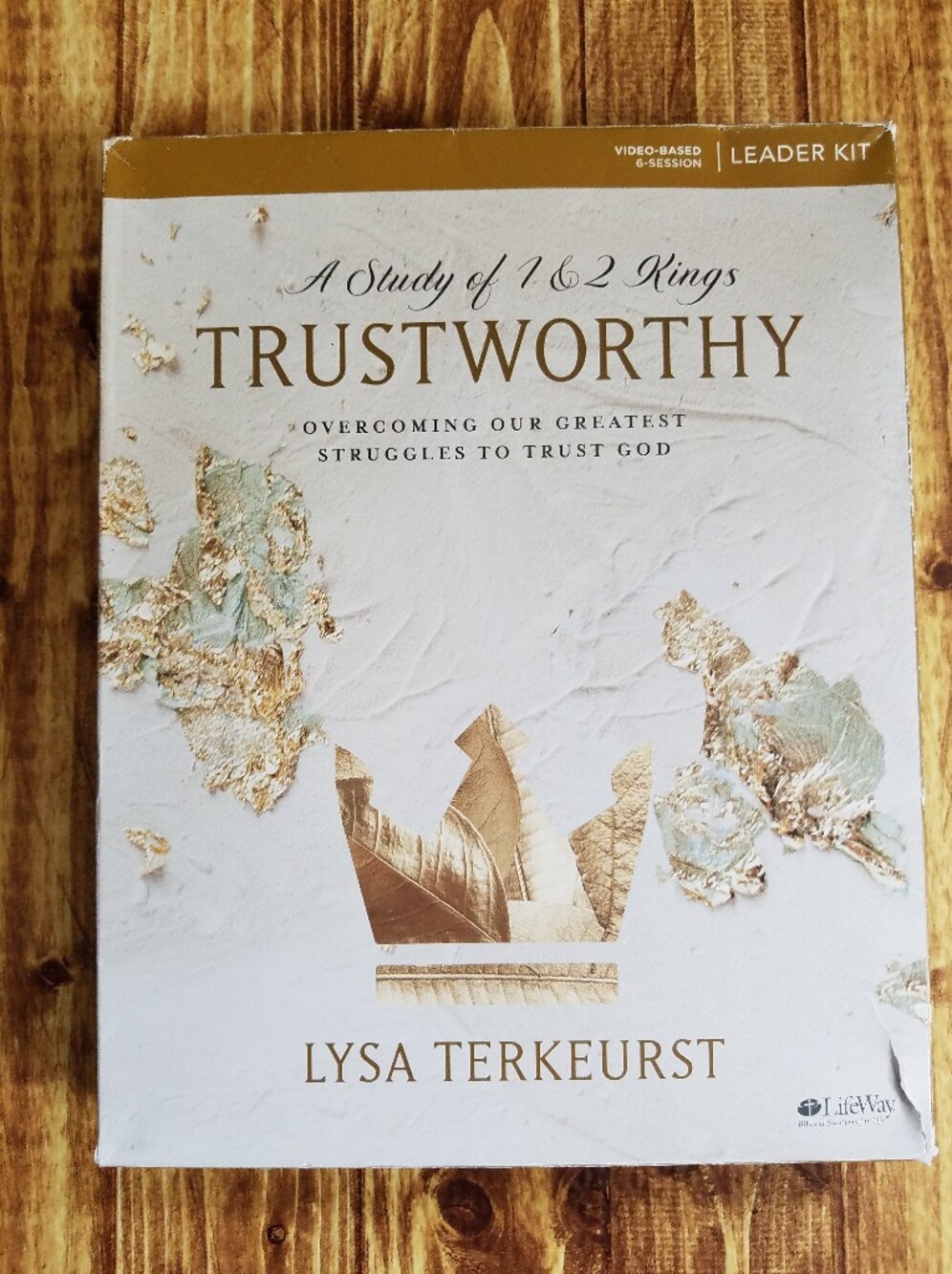 Trustworthy Leader Kit Box DVD Download Bible Study by Lysa TerKeurst Lifeway